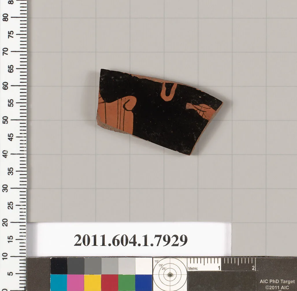 Terracotta fragment of a kylix (drinking cup) — Unknown