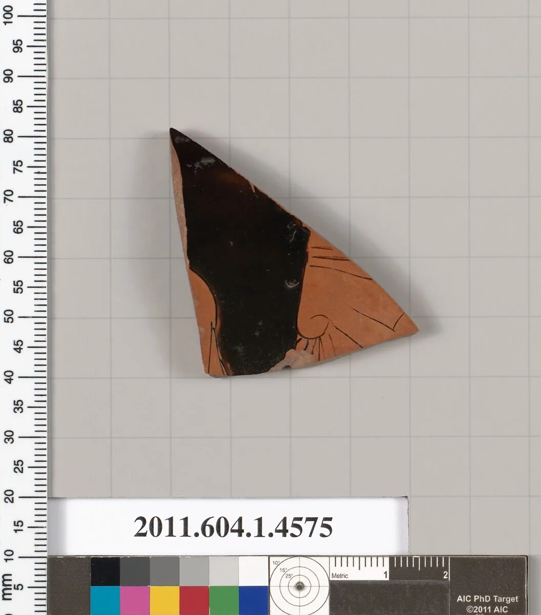 Terracotta fragment of a kylix (drinking cup) — Unknown