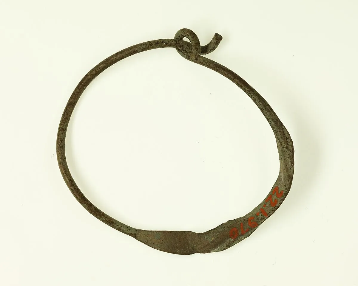 Household ring — Unknown