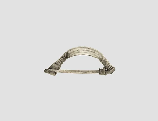 Fibula