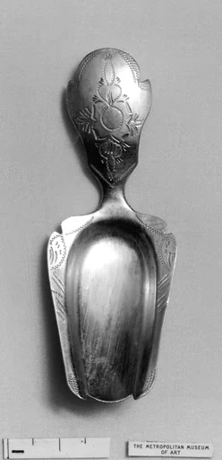 Caddy spoon