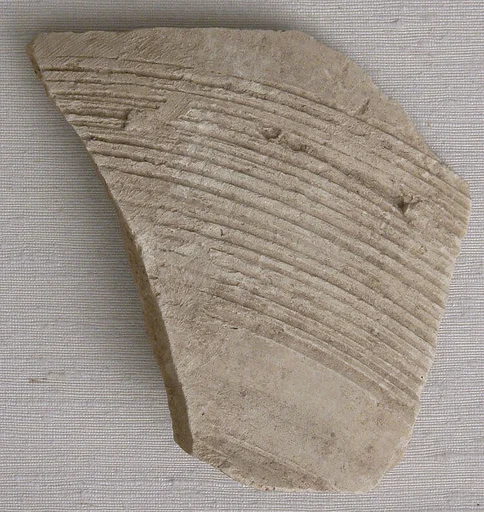 Fragment