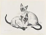 Siamese Interlude — Gladys Emerson Cook