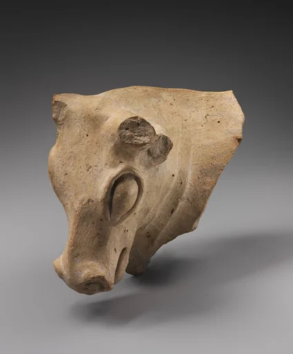 Bovine head