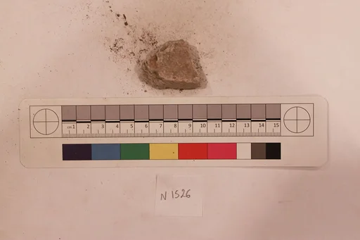 Stucco Fragment