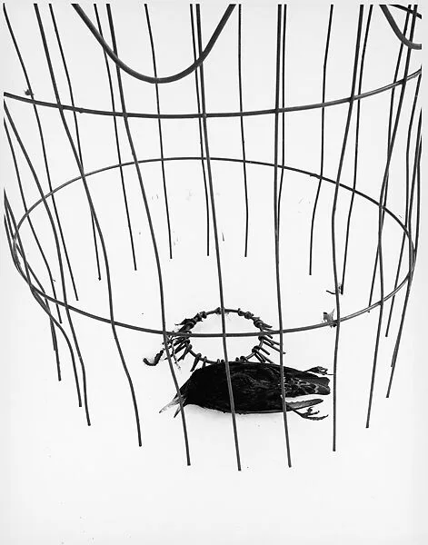 Untitled — Ralph Eugene Meatyard