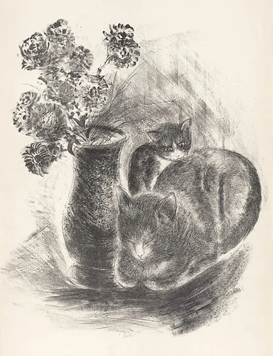 Cats