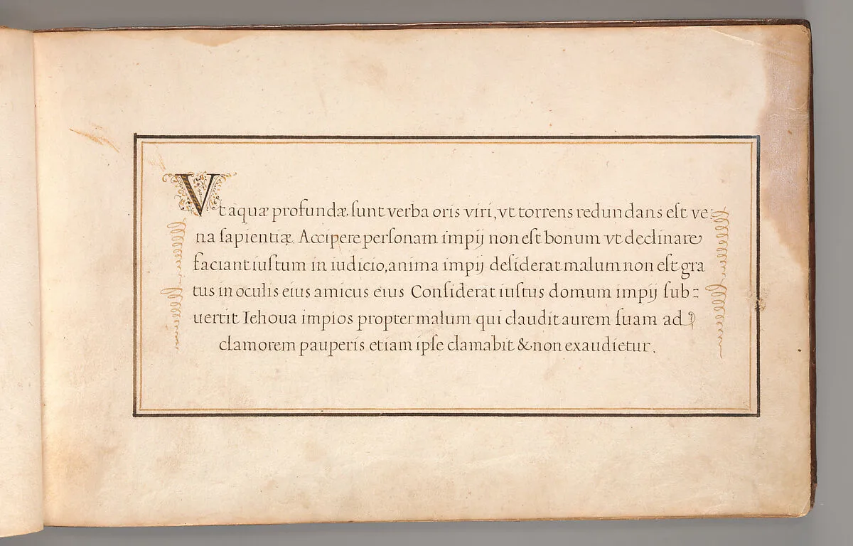 Calligraphic Exercise in Latin — Anonymous