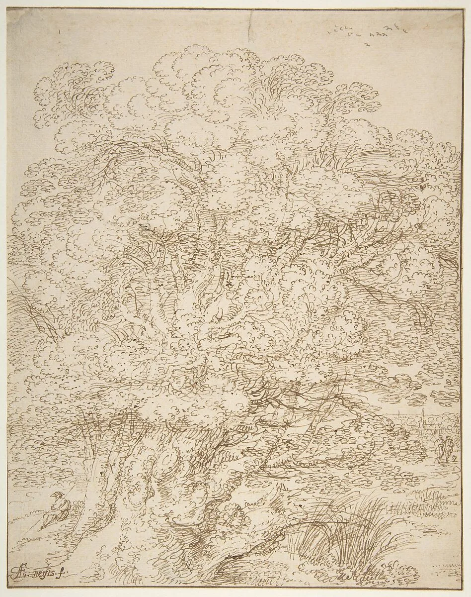 Study of an Old Tree — Gillis Neyts