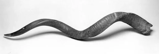 Kudu Horn