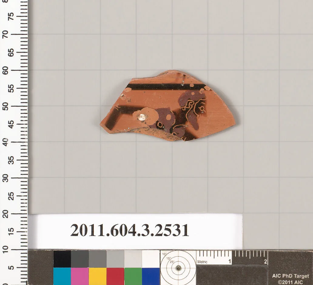 Terracotta fragment of a kylix: Siana cup (drinking cup)? — Unknown