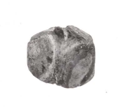 Bead