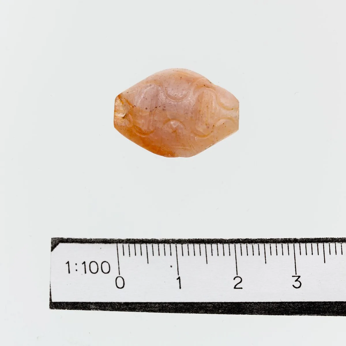 Seal — Unknown