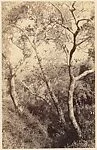 [Trees, a Country Road, a Stream, and a Church from the Side]