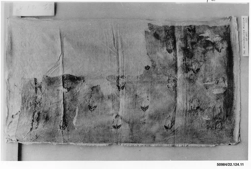 Textile Fragment