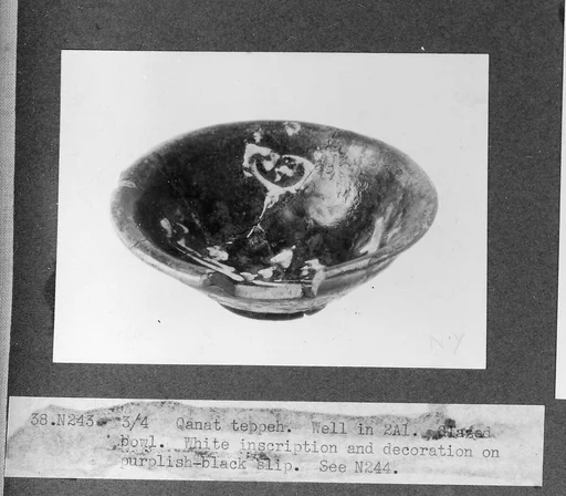 Bowl
