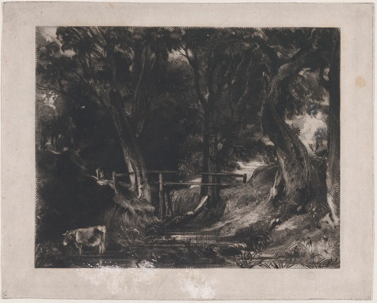 A Dell, Helmingham Park, Suffolk — David Lucas|John Constable