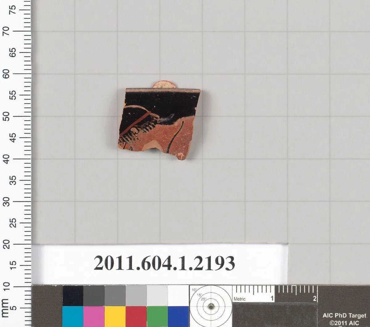 Terracotta rim fragment of a kylix (drinking cup) — Unknown