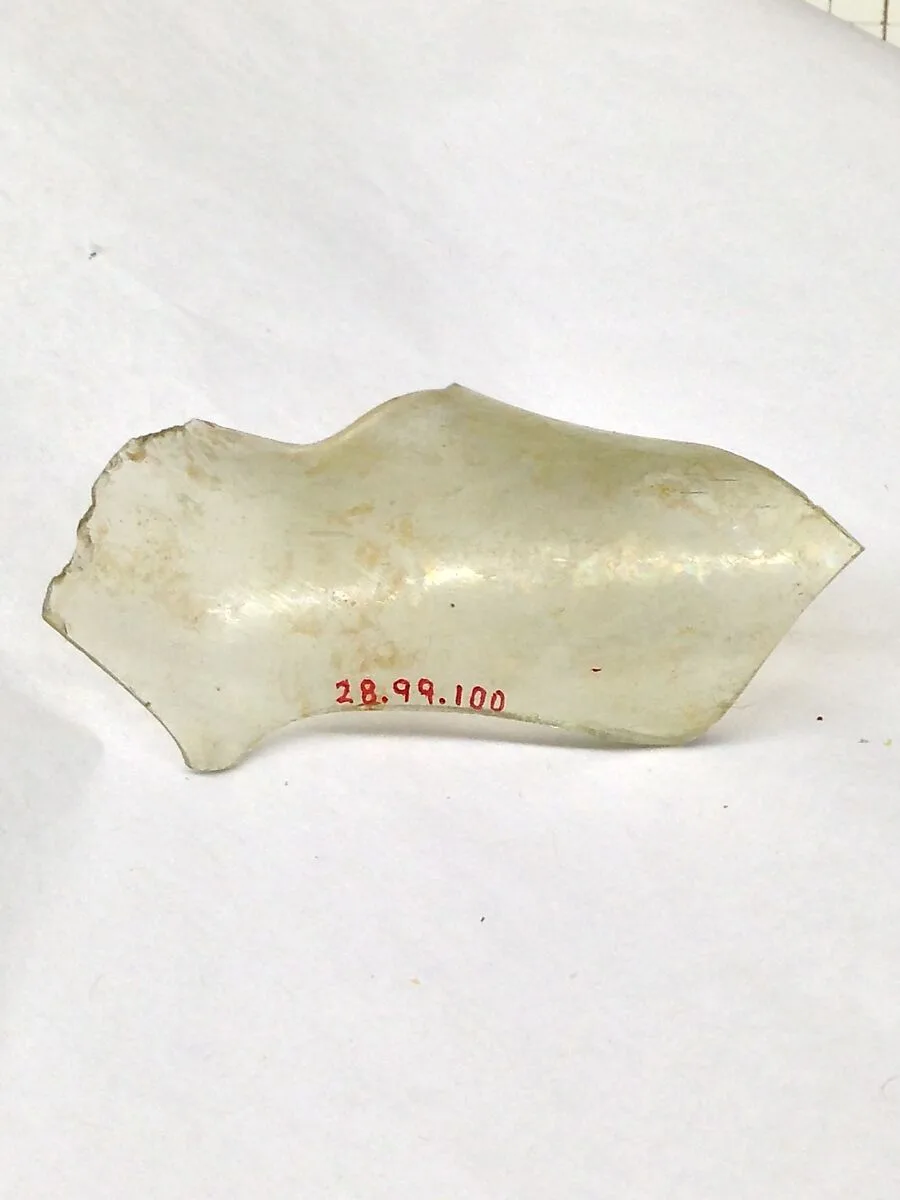 Fragment — Unknown