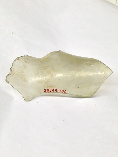 Fragment