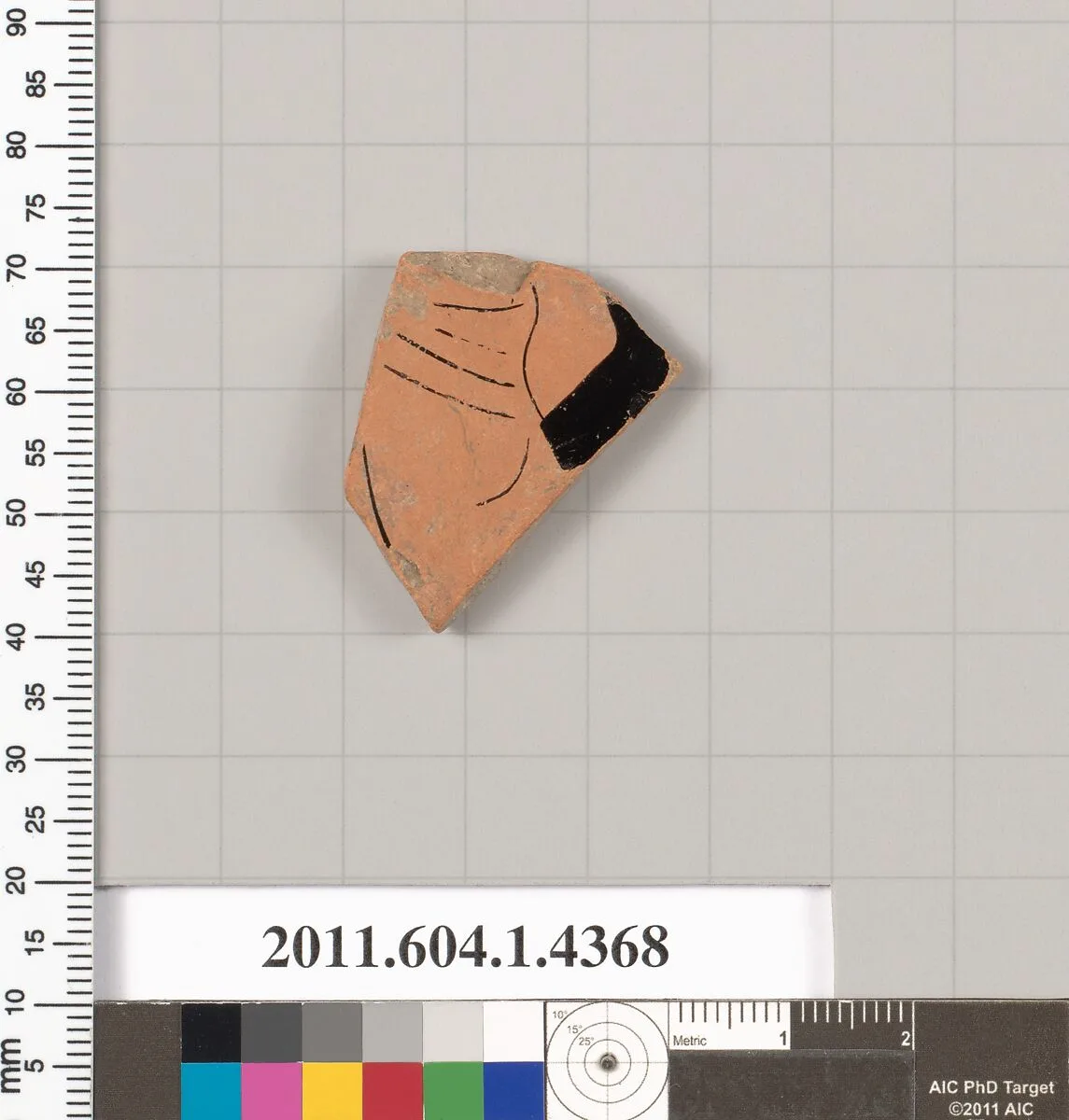 Terracotta fragment of a kylix (drinking cup) — Unknown