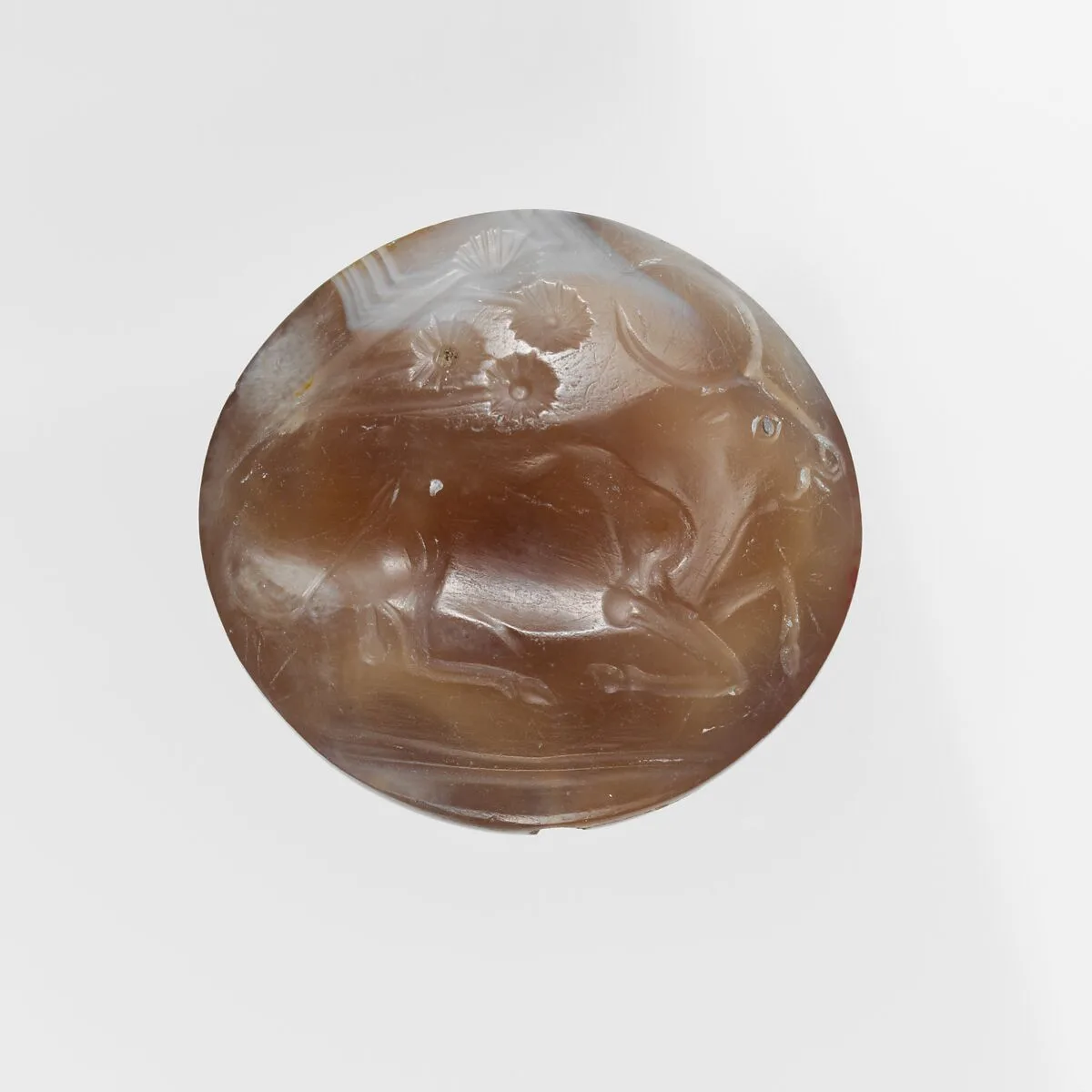 Agate Lentoid — Unknown