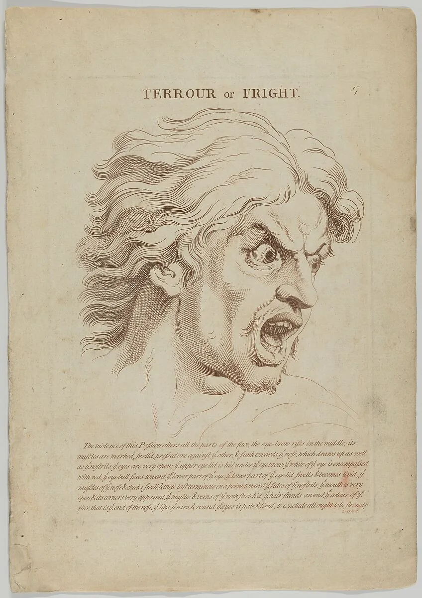 Terrour or Fright (from "Heads Representing the Various Passions of the Soul; as they are Expressed in the Human Countenance: Drawn by that Great Master Monsieur Le Brun") — Charles Le Brun|Robert Sayer|Anonymous, British, 18th century