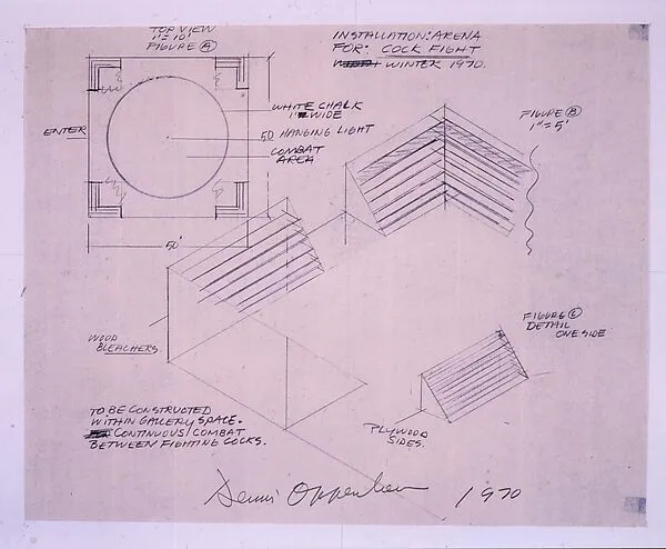 Installation Arena — Dennis Oppenheim