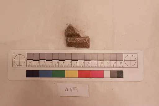 Stucco Fragment