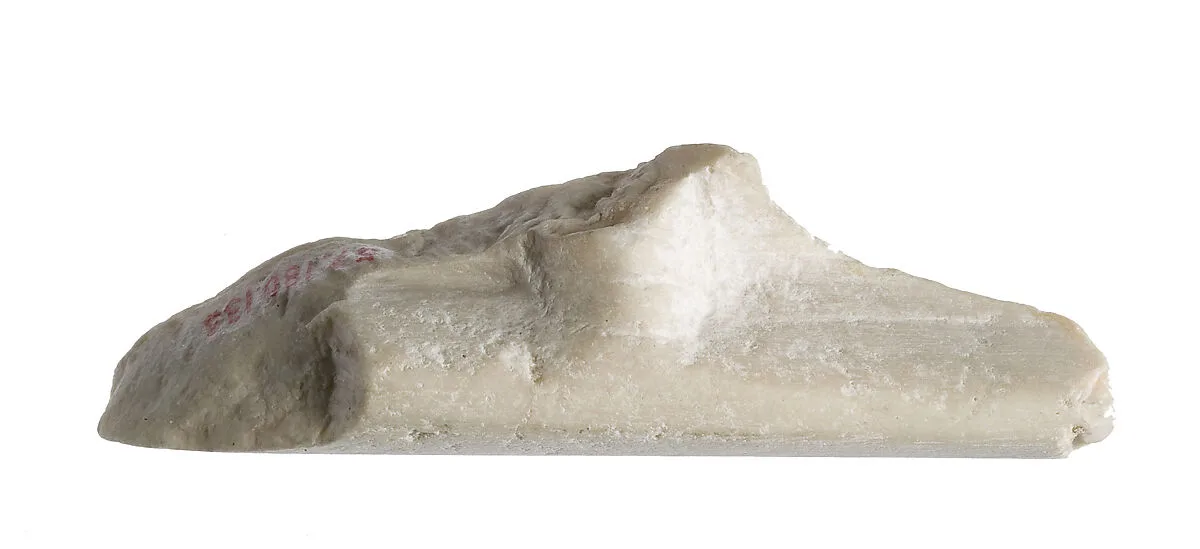 Fragment with unknown elements in high relief — Unknown