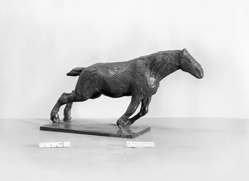 Draught Horse