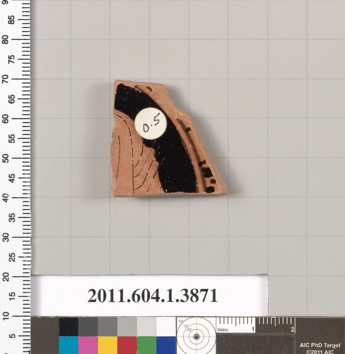 Terracotta fragment of a kylix (drinking cup) — Unknown