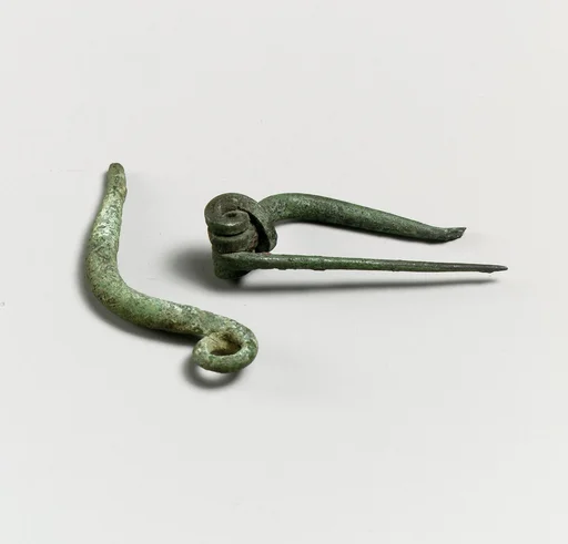 Fibula