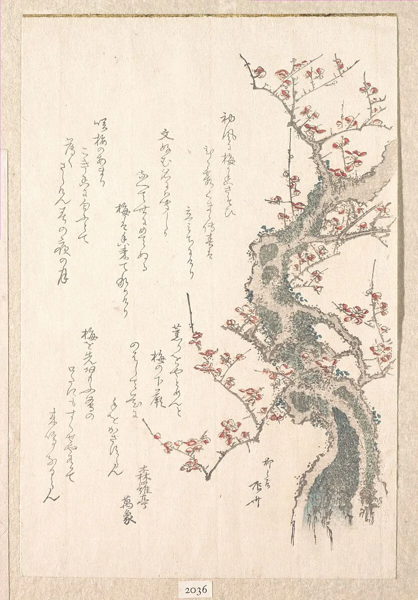 『春雨集』 摺物帖柳々居辰斎画 紅梅|Spring Rain Collection (Harusame shū), vol. 1: Plum Tree in Bloom — Ryūryūkyo Shinsai