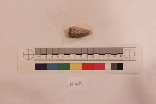 Stucco Fragment