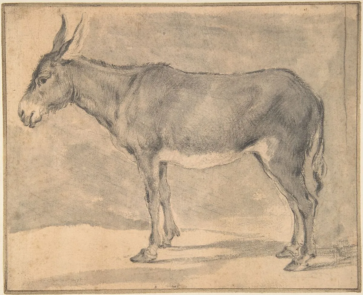 Donkey — Pieter Jacobsz. van Laer
