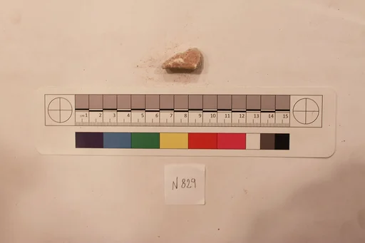 Stucco Fragment
