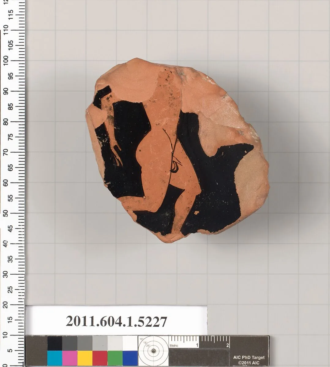 Terracotta fragment of a kylix (drinking cup) — Unknown