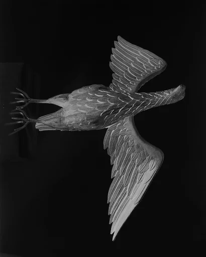 Eagle