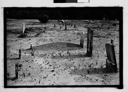 [Graves, Alabama]