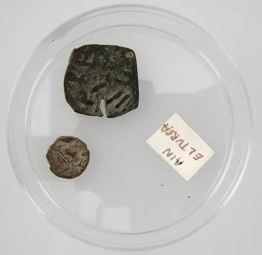 Coins