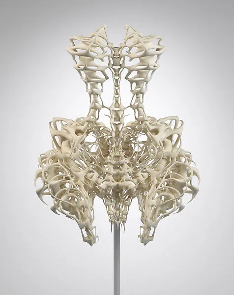 Ensemble — Iris van Herpen|.MGX by Materialise|Iris van Herpen