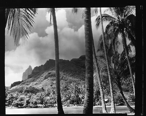 [South Seas: Mountains and Shoreline with Palm Trees in Foreground]