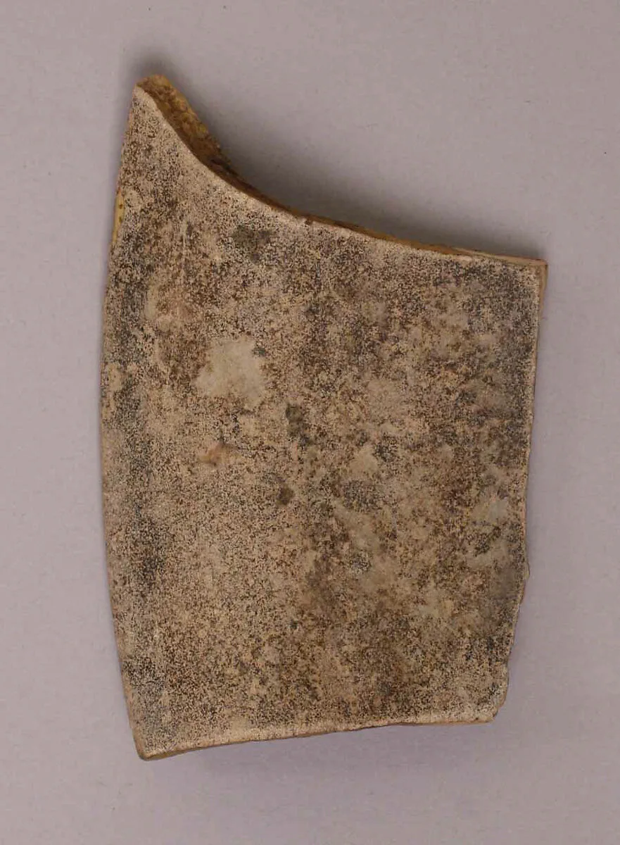 Fragment — Unknown