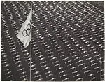 Calisthenics in the Stadium, Olympic Games, Berlin — Leni Riefenstahl