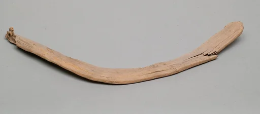 Throw stick