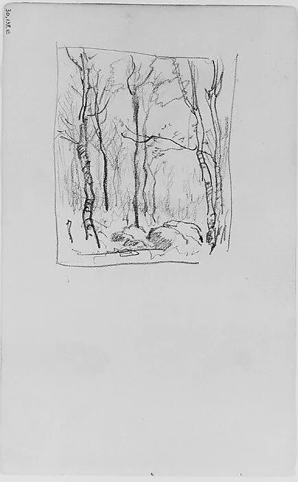 Trees and Rocks in a Forest (from Sketchbook) — Henry Ward Ranger