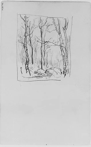 Trees and Rocks in a Forest (from Sketchbook)