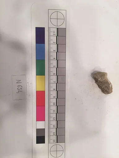 Stucco Fragment