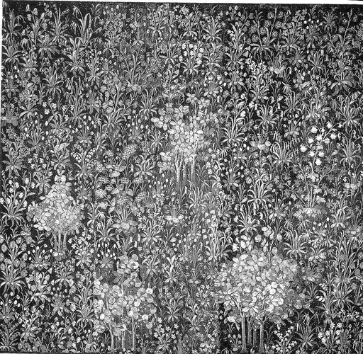 Flowering Plants and Rosebushes